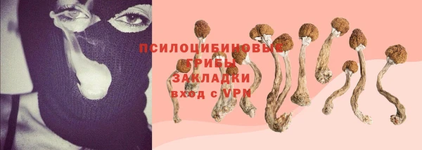 метамфетамин Белокуриха