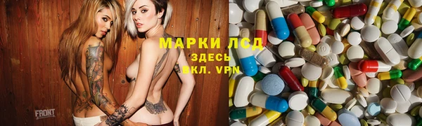 амф Грязовец